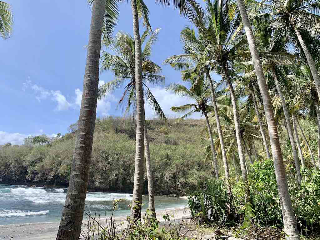 Gamat Bay Nusa Penida Bali cocotiers plage