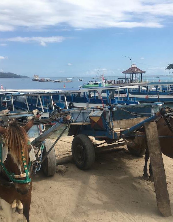 Gili Islands vs Nusa Penida charette à cheval