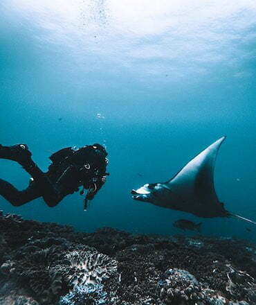 Plonger avec une raie manta avec le centre de plongée Dune Warnakali Nusa Penida Bali