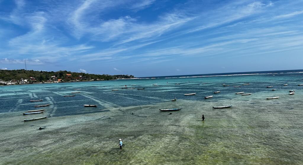 culture algues nusa lembongan bali