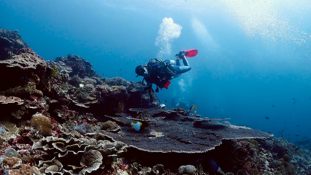 Blaise Jaeger en plongée sous-marine à Nusa Penida en Indonésie