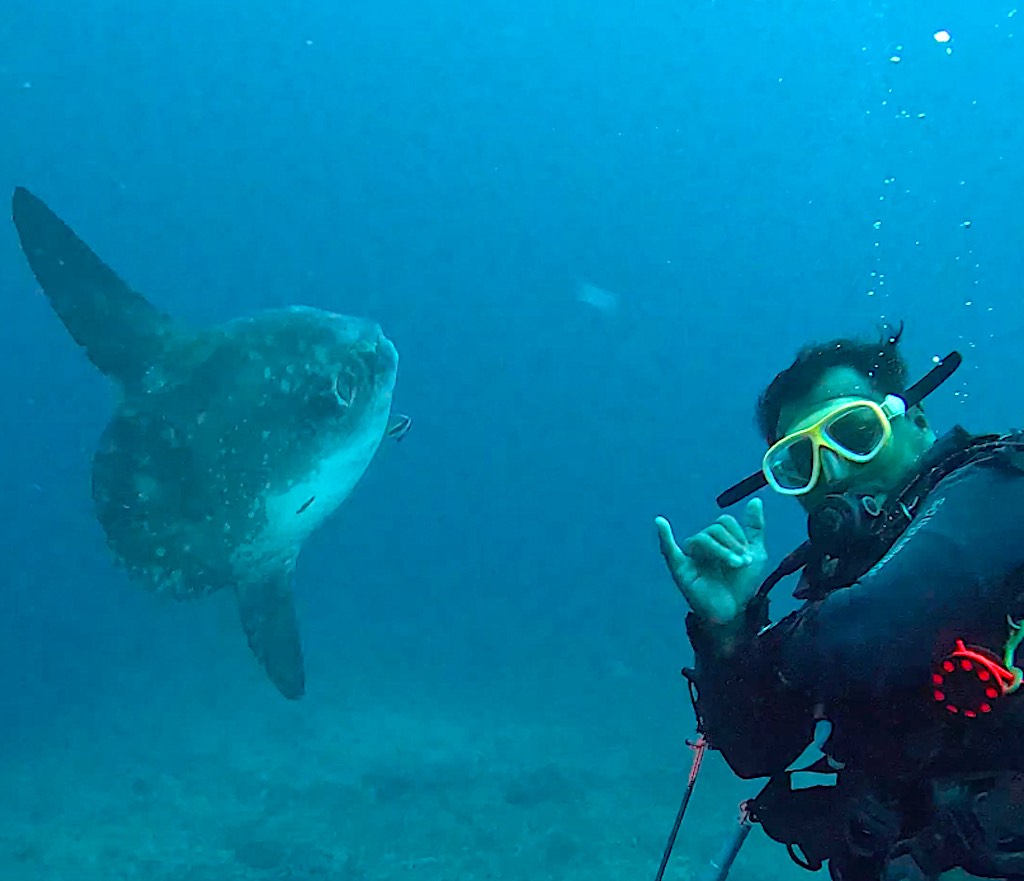Mola Mola et le guide de plongée Imam sur un site de Nusa Penida, Bali