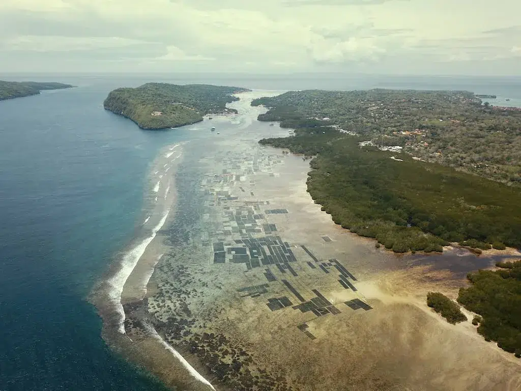 Parcelles traditionnelles de culture d'algues dans les chenaux peu profonds entre Nusa Lembongan et Nusa Ceningan